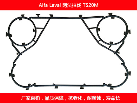 TS20M 国产板式午夜国产AV密封垫片