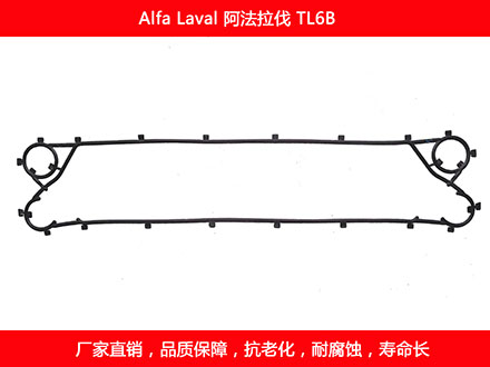 TL6B 国产板式午夜国产AV密封垫片