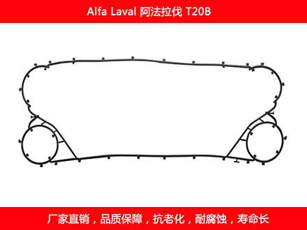 T20B 国产板式午夜国产AV密封垫片