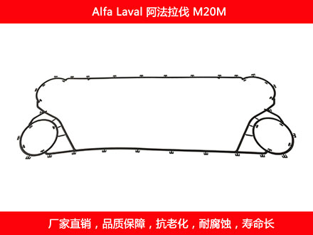 M20M 国产板式午夜国产AV密封垫片