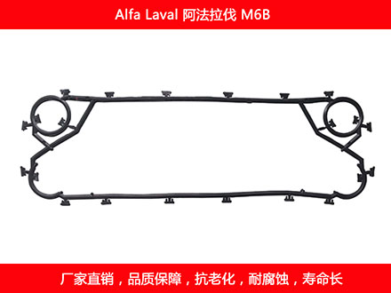 M6B 国产板式午夜国产AV密封垫片